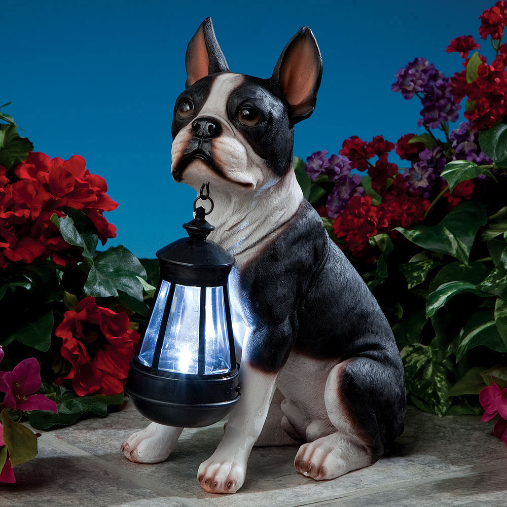 Dog Solar Lantern- Boston Terrier