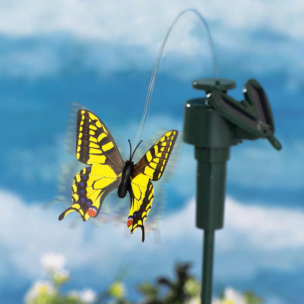 Solar Yellow Swallowtail Fluttering Butterfly