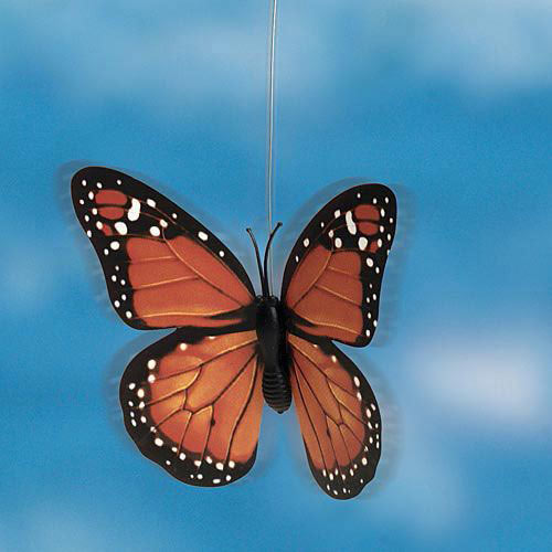 Solar Orange Monarch Fluttering Butterfly