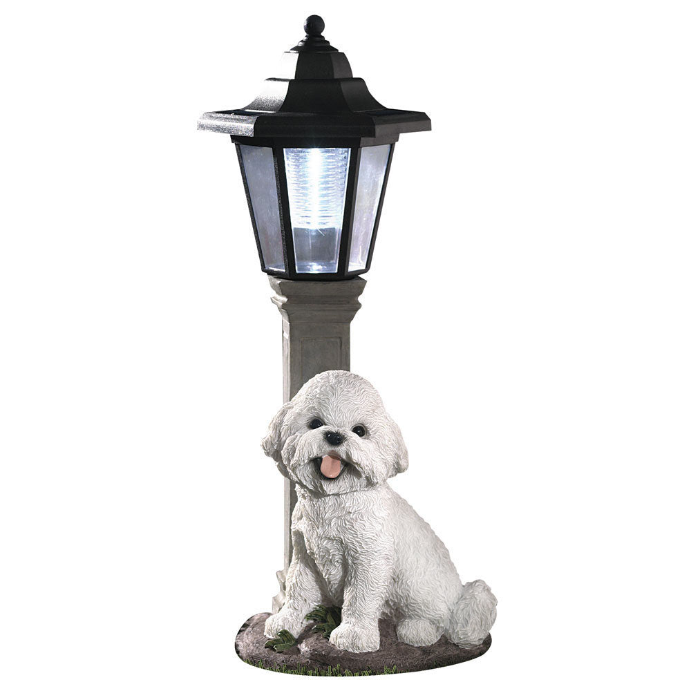 Solar Dog Breed Lantern- Bichon