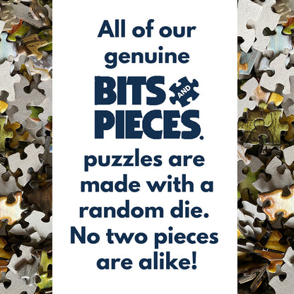 Set of 4: Brooke Faulder 300 Large Piece Jigsaw Puzzles