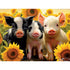 Hello Sunshine 300 Large Piece Jigsaw Puzzle