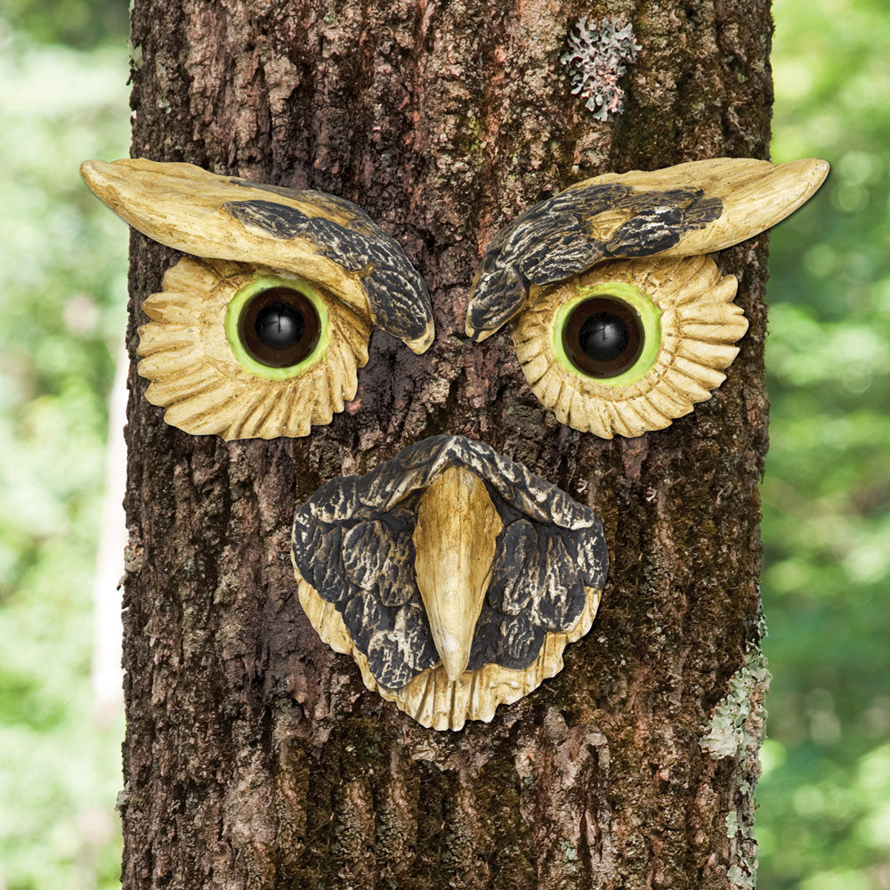 Owl Tree Face