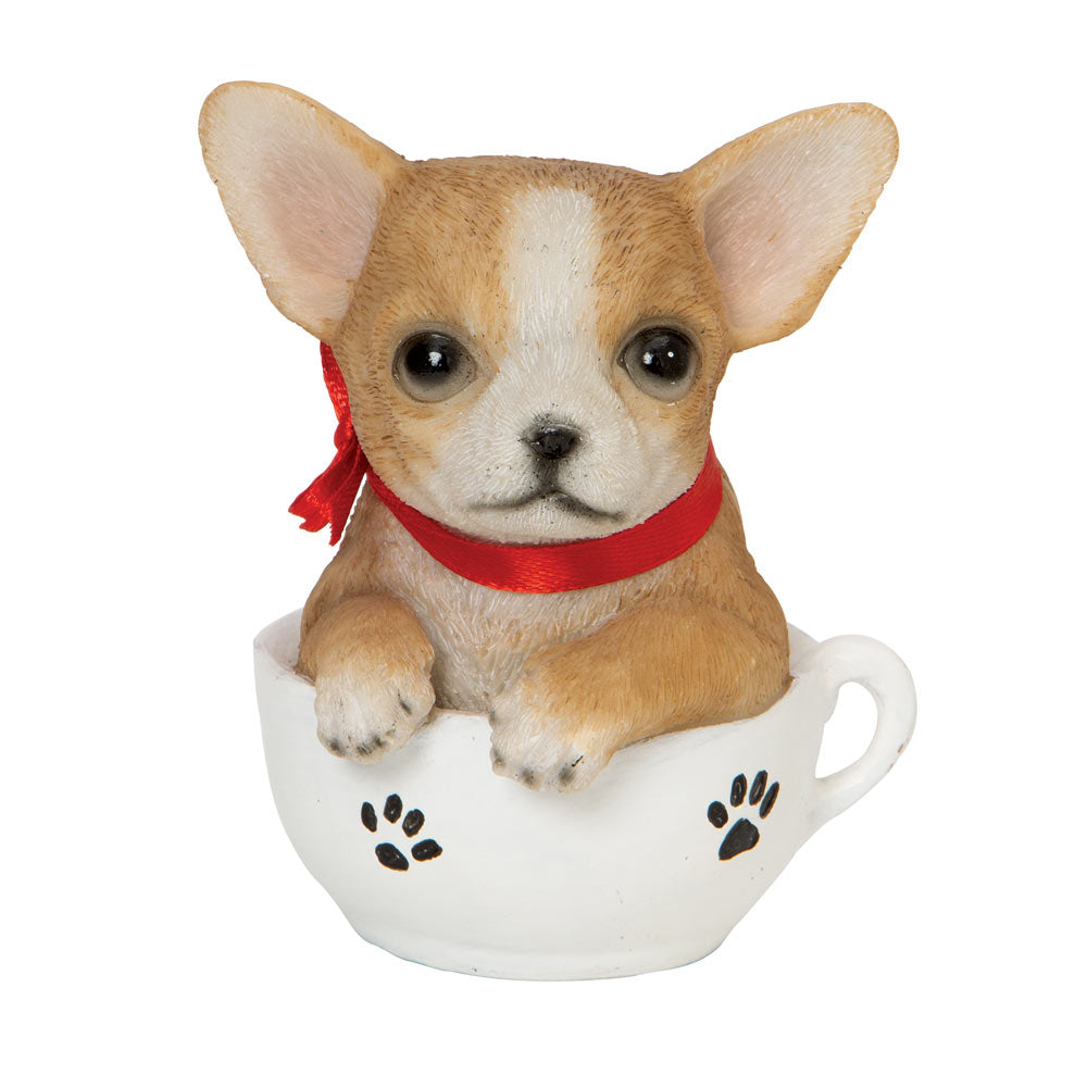 Chihuahua Teacup Puppy