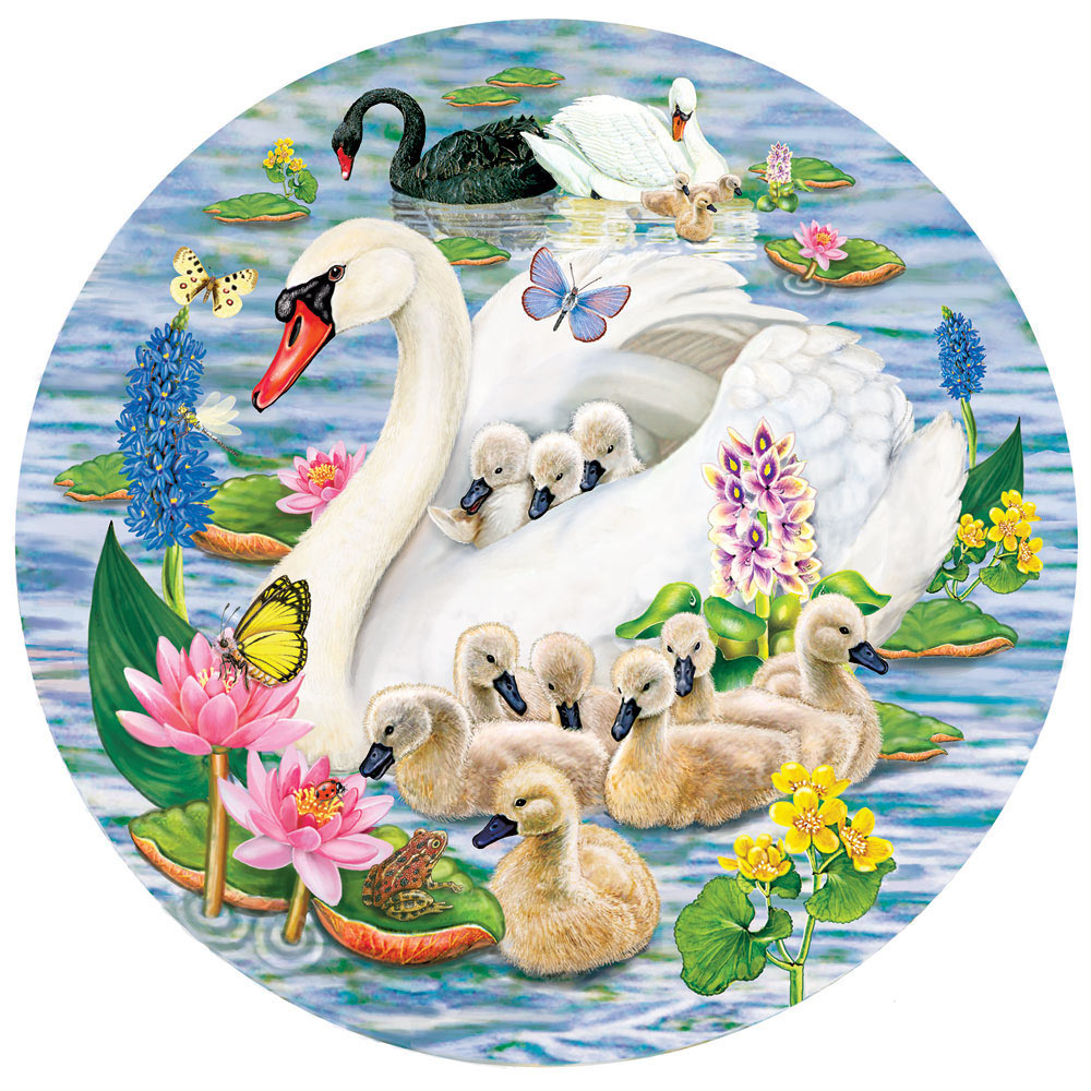 Swans And Cygnets 300 Large Piece Round Jigsaw Puzzle