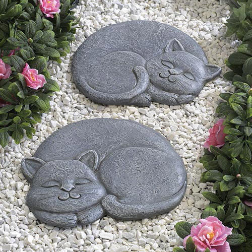 Cat Stepping Stone Right