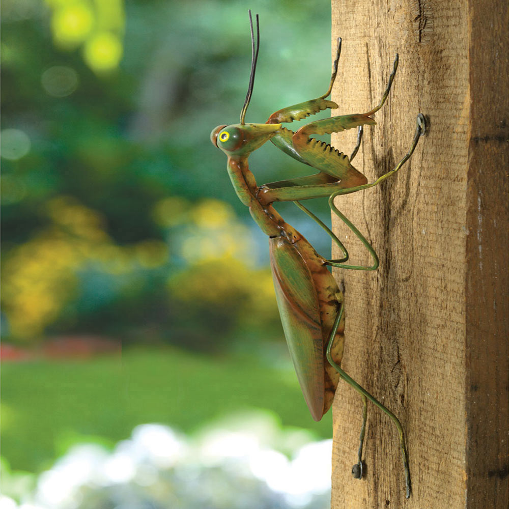 Praying Mantis Sculpture