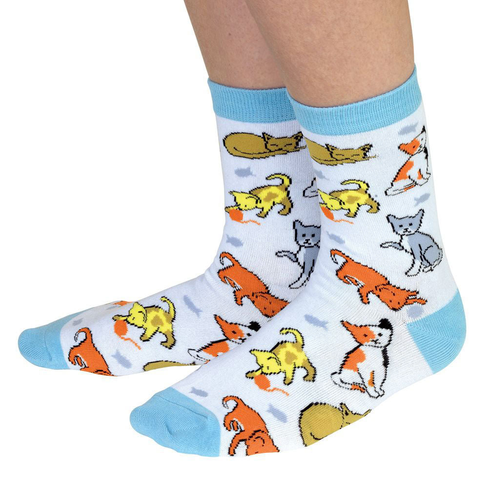 Kitten Novelty Socks