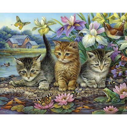 Curious Kittens 1000 Piece Jigsaw Puzzle