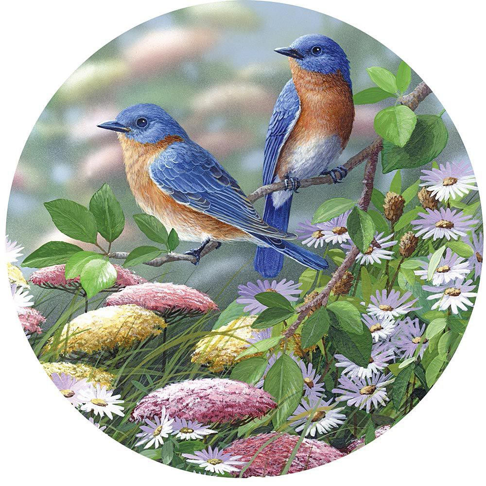 Meadow Blue 300 Large Piece Round Jigsaw Puzzle